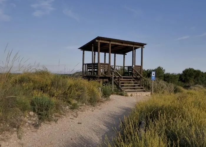 Oasis 펜션 그란 알라칸트