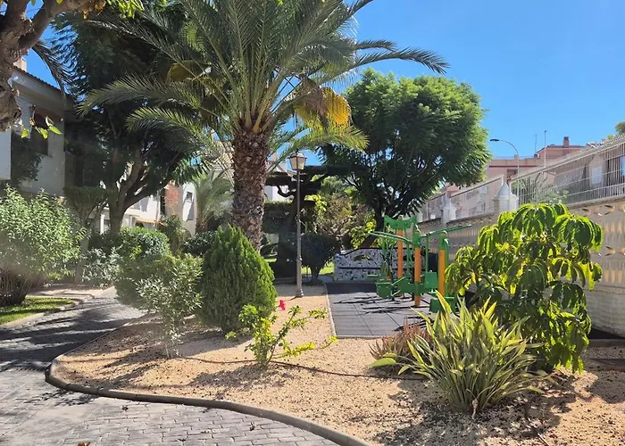 Oasis * 그란 알라칸트